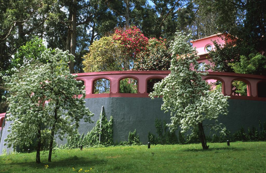 Bio Hotel - Hotel Quinta Da Serra Câmara de Lobos Екстериор снимка
